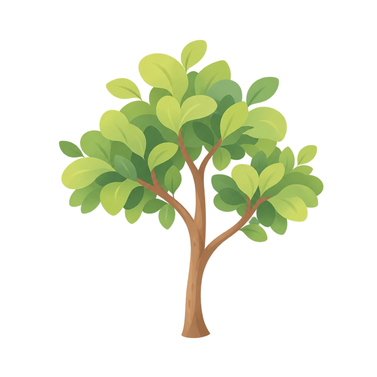 A young tree unfolds